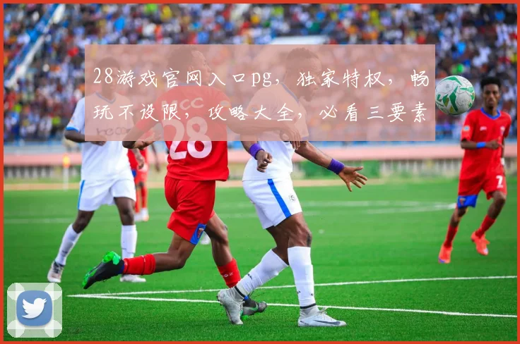 28游戏官网入口pg,独家特权,畅玩不设限,攻略大全,必看三要素,一网打尽